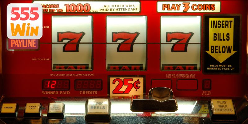 Bảng thưởng scatter chi tiết cho thành viên