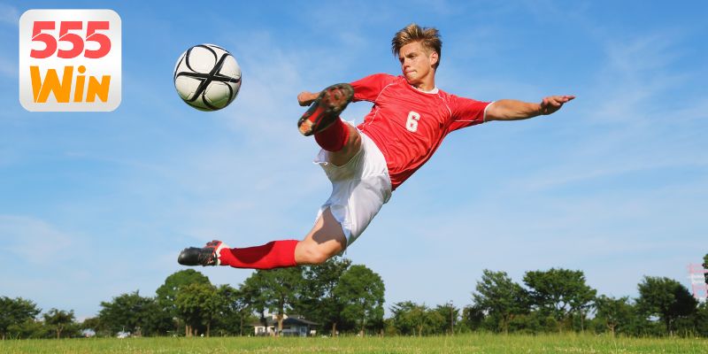 Bí kíp chiến thắng dành cho thành viên mới