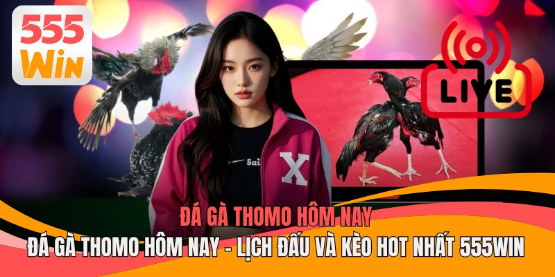 Đá Gà Thomo Hôm Nay