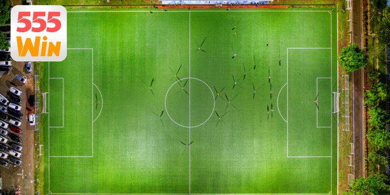 Khám phá cá độ bóng đá trực tuyến cho người mới