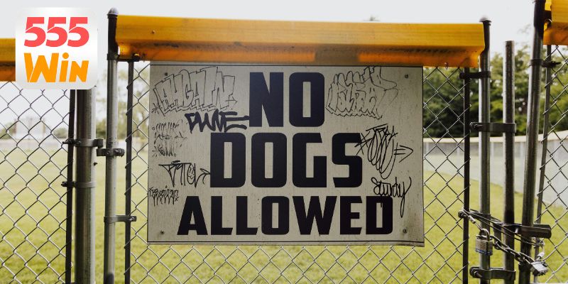 Phân loại các điều khoản phổ biến online